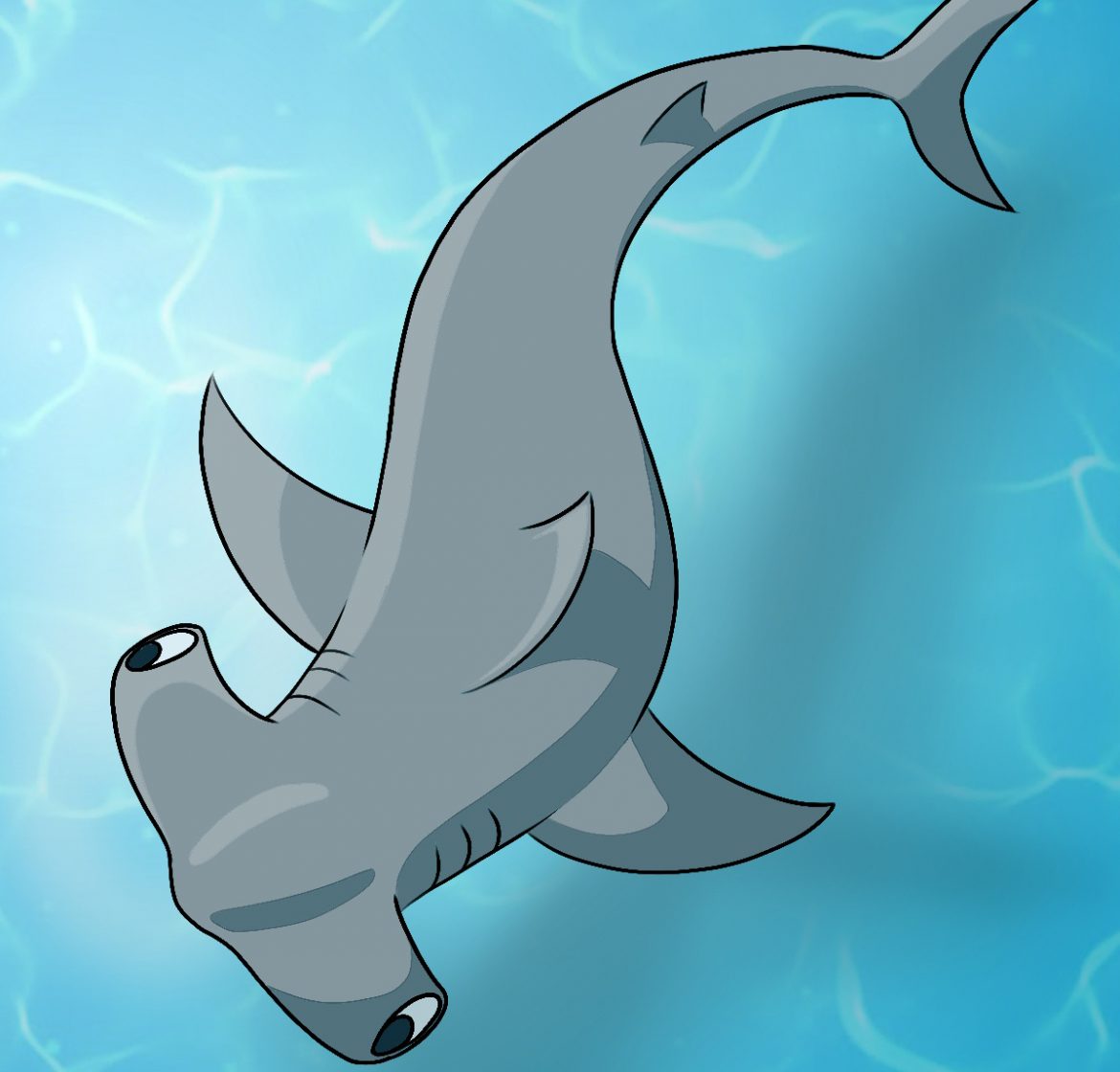 How To Draw A Hammerhead Shark Draw Central