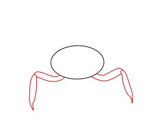 See? 50+ Facts Of How To Draw Crab  They Did not Let You in!