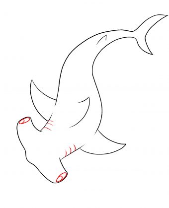 How To Draw A Hammerhead Shark - Draw Central