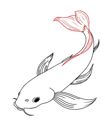 How To Draw Koi Fish Draw Central