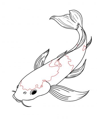 How To Draw Koi Fish Draw Central