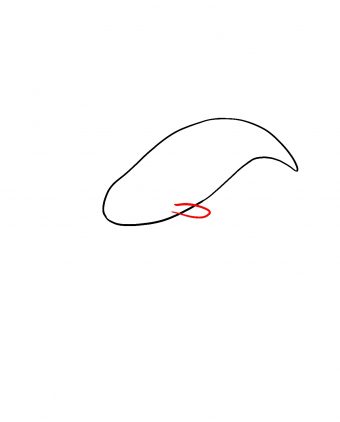 Featured image of post Narwhal Drawing Step By Step Ready to create a narwhal