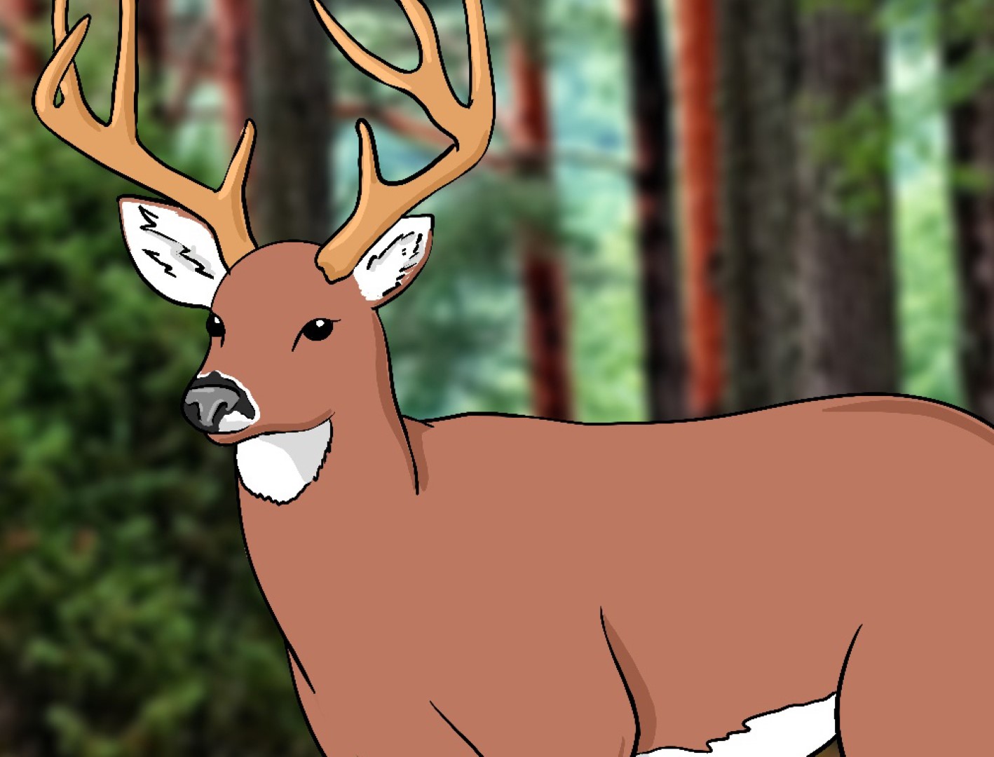 How To Draw A Deer - Draw Central